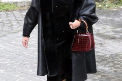 41844850-9479679-image-a-3_1618591002437-–-kopia